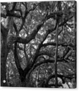 Trees, Tide Views Preserve, 2006 Acrylic Print