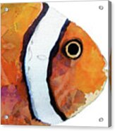 Tropical Art Big Clown Fish Head Acrylic Print