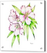 Tropical Flower In Opera Rose Acrylic Print