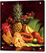 Tropical Fruit Pineapple And Hibiscus Acrylic Print