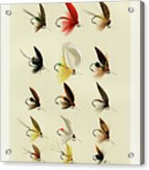 Trout Fishing Flies Iv From Favorite Flies And Their Histories Acrylic Print