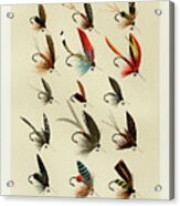 Trout Fishing Flies Vi From Favorite Flies And Their Histories Acrylic Print