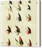 Trout Fishing Flies X From Favorite Flies And Their Histories Acrylic Print