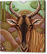Tsessebe Antelope Adventure Acrylic Print