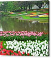 Tulip Flowers At Showa Commemorative National Governmaent Park Acrylic Print