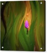Tulip Lilac 1 #k0 Acrylic Print