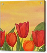 Tulips At Sunset Acrylic Print