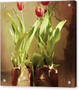 Tulips In Boots Acrylic Print