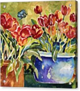 Tulips In Pots Acrylic Print