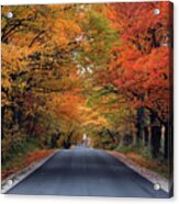 Tunnel Of Fall Colors Acrylic Print