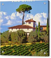 Tuscany Vineyard Acrylic Print