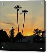 Twin Palm Sunset Acrylic Print