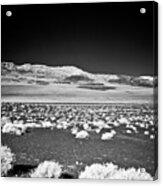 Ubehebe Crater, Death Valley Acrylic Print