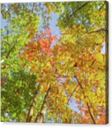 Under The Autumn Trees Acrylic Print