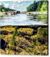 Underwater / Landscape Split Shot Acrylic Print