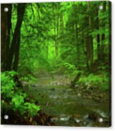 Upper Dunnfield Creek Spring Green And Rain Shine Acrylic Print
