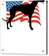 Usa Greyhound Patriotic Dog American Flag Acrylic Print