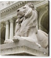 Usa, New York, New York City, New York Public Library, Close Up Of Sculpture Of Lion Acrylic Print