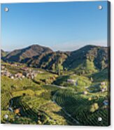 Valdobbiadene Acrylic Print