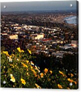 Ventura California Spring Flowers At Sunset Acrylic Print