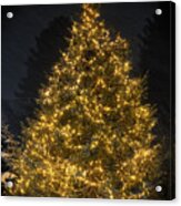 Vermont Christmas Tree Acrylic Print