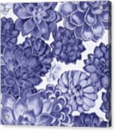 Very Peri Purple Blue Succulent Plants Garden Watercolor Interior Art Iii Acrylic Print