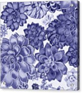 Very Peri Purple Blue Succulent Plants Garden Watercolor Interior Art Iv Acrylic Print