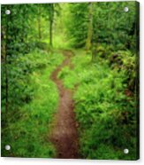 Vibrant Green Forest Path Acrylic Print