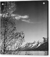 View Of Mountains With Tree In Foreground, Grand Teton National Park, Wyoming, 1941 Acrylic Print