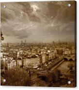 View Of Paris From Notre Dame Acrylic Print