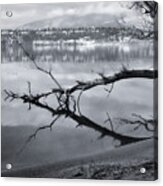View Of West Kelowna Black And White Acrylic Print