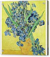 Vincent Van Gogh Irises 1890 Art Exhibition Print Poster Acrylic Print
