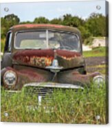 Vintage Automobile Out To Pasture Acrylic Print