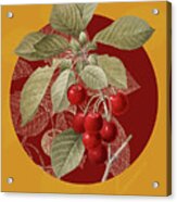 Vintage Botanical Cherry On Circle Red On Yellow Acrylic Print