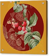 Vintage Botanical Red Berries On Circle Red On Yellow Acrylic Print