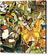 Vintage Butterfly Art - Butterflies Galore - Sharon Cummings Acrylic Print