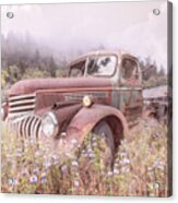 Vintage Chevy Pickup Truck In The Mountain Wildflowers Shabby Ch Acrylic Print