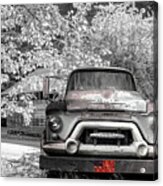 Vintage In Springtime Black And White And Red Acrylic Print