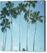 Vintage Palms Acrylic Print