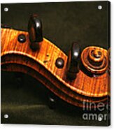 Violin Scroll On Dark Green Velvet Acrylic Print