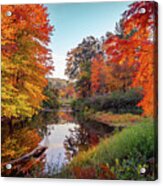 Vivid Colors Of Autumn 4 Acrylic Print