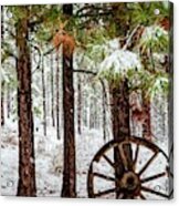 Wagon Wheel Snow Acrylic Print