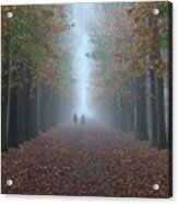 Walking In The Forest On A Foggy Morning Acrylic Print