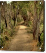 Walkway, Yanchep National Park, Western Australia Acrylic Print