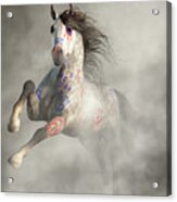 War Horse Charge Acrylic Print