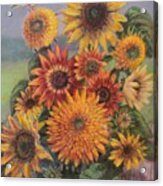 Warbler And Sunflowers Acrylic Print