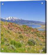 Washoe Valley To Mt Rose Acrylic Print