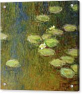 Water Lilies Nr. P005 Acrylic Print