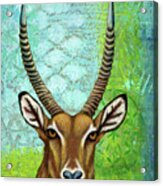 Waterbuck Abstract Acrylic Print