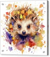 Watercolor Animal 95 Hedgehog Acrylic Print